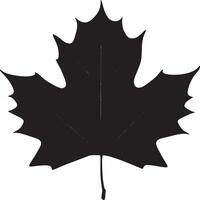a black and white maple leaf on a white background vector