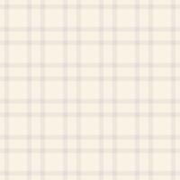 Tracery check plaid , france background pattern tartan. Tiny texture textile fabric seamless in old lace and white colors. vector
