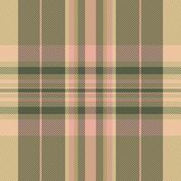 Presentation tartan textile , cell texture fabric plaid. Elegant seamless background pattern check in amber and pastel colors. vector