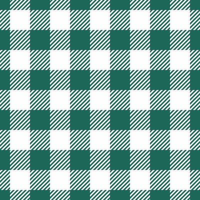 Stylish teal and white gingham pattern with diagonal stripes. Perfect for fabric design, home decor, or festive projects. High-resolution image ideal for seamless repeats. Download now