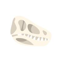 A dinosaur skull with teeth on a white background vector