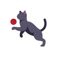 A cat playing with a ball on a white background vector