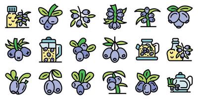 Honeysuckle berries growing on branch and prepared as tea, essential oil and juice icons set vector