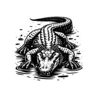 An alligator in the water with its head up vector