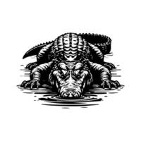 An alligator in the water with its head down vector