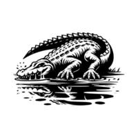 Alligator in water with reflection vector