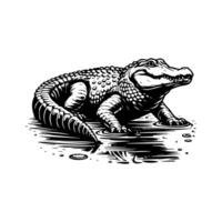An alligator is sitting in the water vector