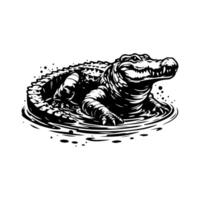 An alligator is sitting in the water vector