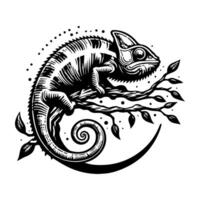 Chameleon on the branch with leaves and leaves vector
