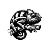A black and white image of a chameleon sitting on a branch vector