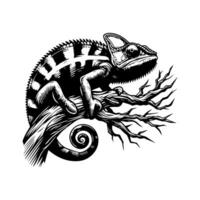 Chameleon on a branch vector