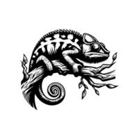 Chameleon on a branch vector