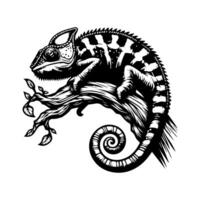 Chameleon on a branch vector
