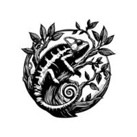 Chameleon in the tree by joshua mcclure vector