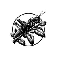 Grasshopper logo by jimmy's shop vector