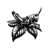 A black and white drawing of a grasshopper vector