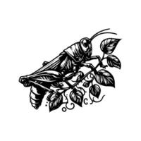 Grasshopper logo by jimmy's shop vector
