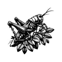 Grasshopper logo design vector