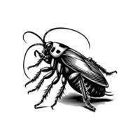 Cockroach logo by jimmy the roach vector