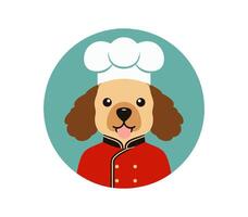 Poodle in a chef costume vector
