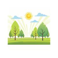 Sunlight Through the Spring Forest vector