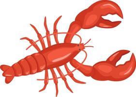 Cooked red lobster with open claws and spread legs, lying on its back, isolated on white background, ideal for seafood restaurant menu or luxury food concept vector