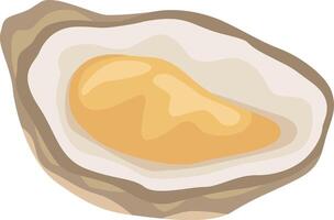 Open oyster illustration highlighting the contrast between the soft, fleshy inner body and the rough texture of the outer shell, ideal for seafood restaurant menus or culinary illustrations vector