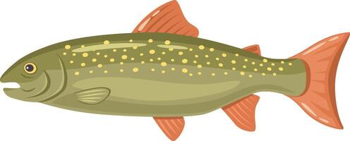 Colorful illustration of a brook trout swimming underwater, showing its fins, tail, and open mouth, ideal for fishing or wildlife related projects vector