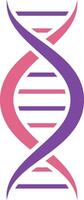 Pink and purple stylized DNA double helix rotating, symbolizing genetics, life, and biological inheritance, with a clean white background perfect for scientific or medical communication vector