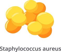 Staphylococcus aureus bacteria forming irregular grape like clusters, a common cause of skin infections, respiratory disease and food poisoning, are showing antibiotic resistance vector