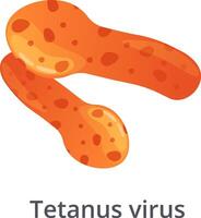 Clostridium tetani bacteria, commonly found in soil, dust, and animal feces, are responsible for causing tetanus, a serious bacterial infection affecting the nervous system vector