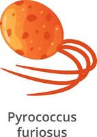 Pyrococcus furiosus, an extremophile microorganism from the Archaea domain, is moving using flagella, in a scientific illustration with white background vector