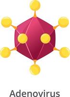 Adenovirus particle showing fibers proteins extending from each penton base of its icosahedral capsid, a non enveloped virus causing respiratory infections, gastroenteritis, and conjunctivitis vector