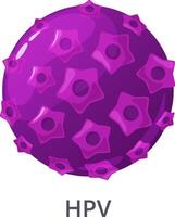 Rotating 3D model of human papillomavirus on a white background, illustrating a virus responsible for causing genital warts and increasing the risk of cancer and infections vector