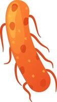 Salmonella enterica bacteria, a common foodborne pathogen, displays its flagella used for movement and pili for adhesion, highlighting its role in causing infections vector