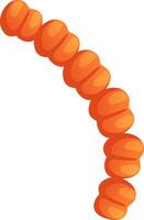 Streptococcus pneumoniae bacteria forming a curved chain, a common cause of pneumonia and other respiratory infections, highlighted on a white background vector