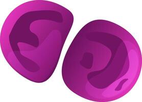 Two overlapping purple abstract shapes create a modern and vibrant design featuring a smooth gradient effect, perfect for enhancing various creative projects and artistic expressions vector