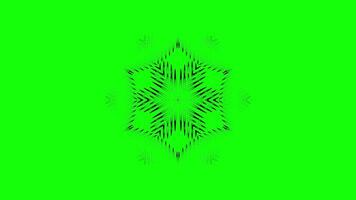 Abstract Animated Mandala with Floral Patterns and Symmetrical Shapes video