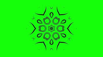 Animated symmetrical design with floral patterns in seamless motion video