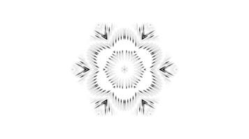 Dynamic Abstract Mandala with Flowing Geometric Patterns video