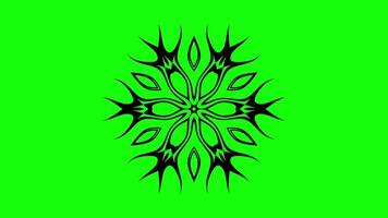 Mandala animated design with intricate star patterns video