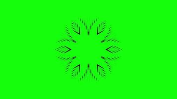 Animated Mandala with Complex Geometric Patterns video