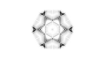 Symmetrical Abstract Animation with Flowing Geometric Patterns video