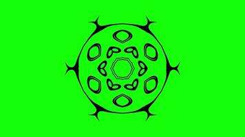 Abstract symmetrical pattern with unique petal shapes video