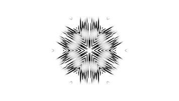 Dynamic Animated Snowflake-Like Pattern with Geometric Detail video