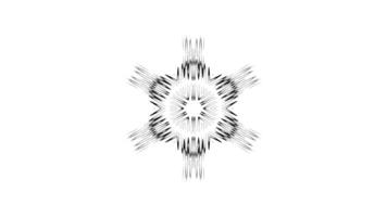 Dynamic Animated Snowflake with Fluid Geometric Lines video