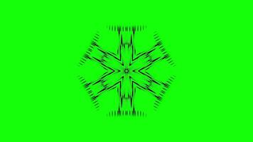 Animated Abstract Mandala with Flowing Geometric Patterns video