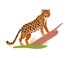 Leopard next to a tree. illustration on a white background. vector