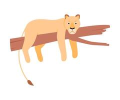 Lioness on a tree. illustration on a white background. vector