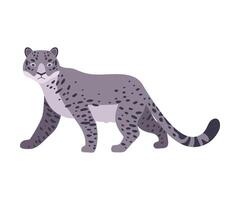 Snow Leopard. illustration on a white background. vector